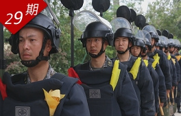 步步惊心！中越边境大扫雷